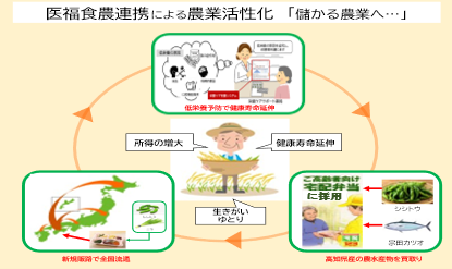 医福食農連携で高齢者の低栄養予防に資する健康支援型配食サービス